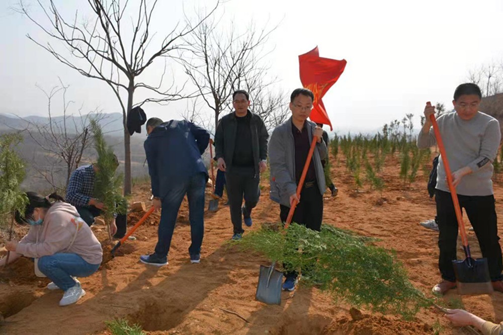文博中心項(xiàng)目部臨時(shí)黨支部開展義務(wù)植樹主題黨日活動